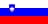 selected country flag
